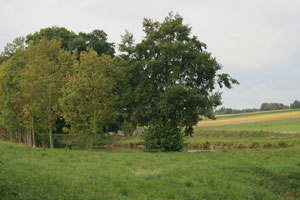Frankenhöhe Frankenhöhe
